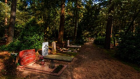 Graven op begraafplaats Rusthof